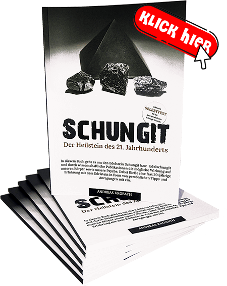 schungit buch - neu 2024