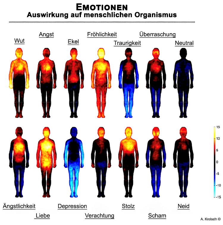 Emotionen Auswirkung auf Körper - Grafik 2024